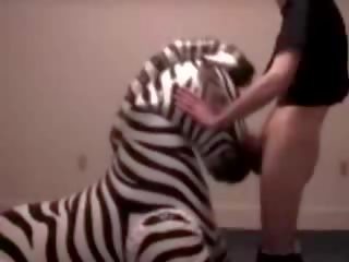 Zebra prende gola scopata da pervertito screpolatura clip